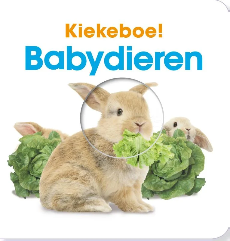 Babydieren / Kiekeboe Koop Vandaag