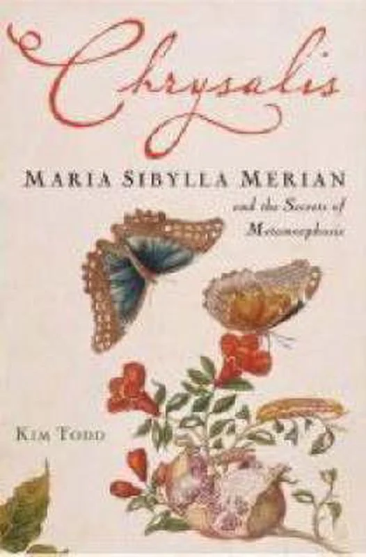Chrysalis Flitsaanbieding