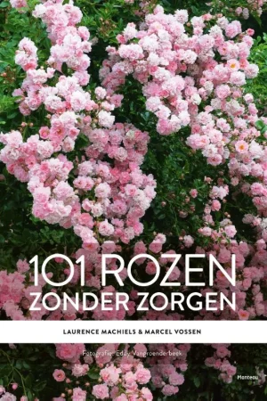 101 rozen zonder zorgen Speciale Aanbieding