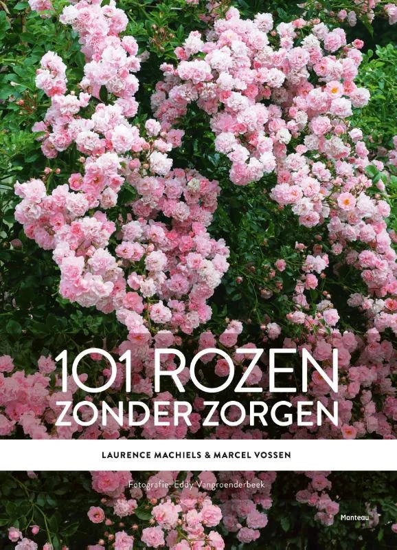 101 rozen zonder zorgen Speciale Aanbieding