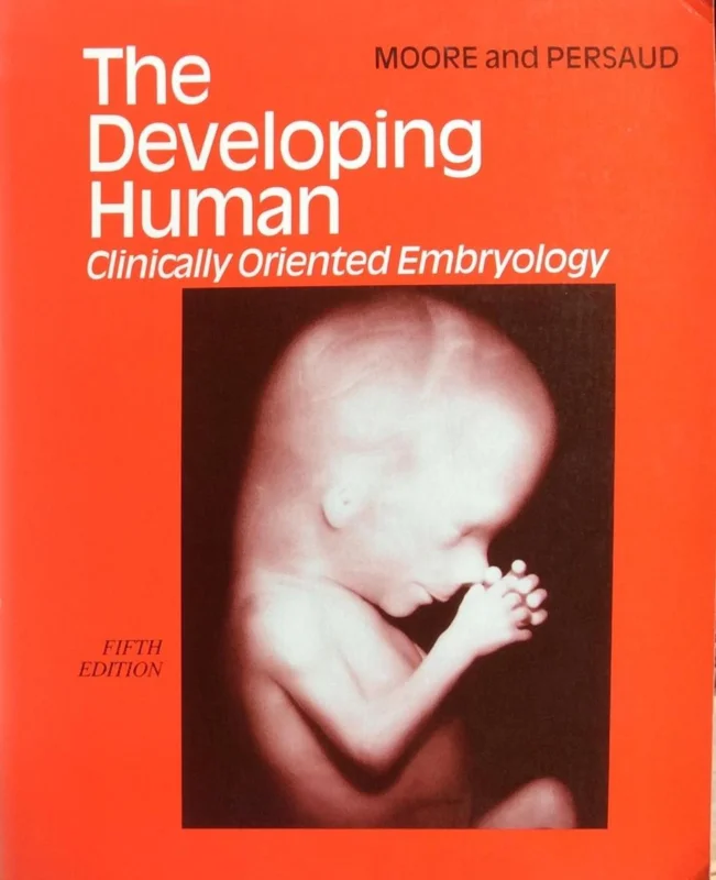 The Developing Human Hete Deal