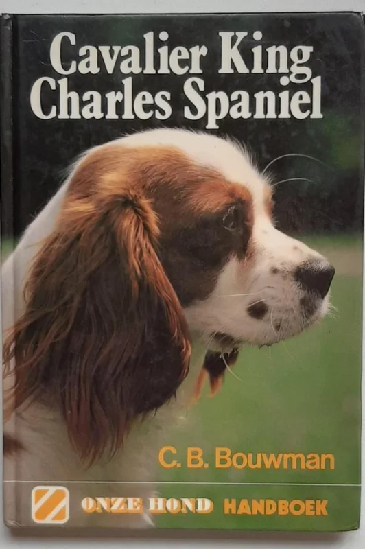 Cavalier king charles spaniel Premium