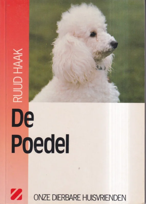 Poedel Tijdelijk Beschikbaar