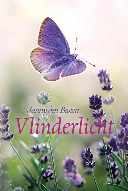 Lage Prijs Vlinderlicht