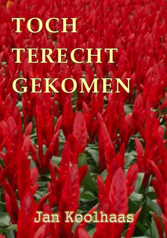 Direct Beschikbaar Toch terecht gekomen