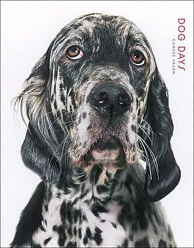 Meest Verkocht Dog Days