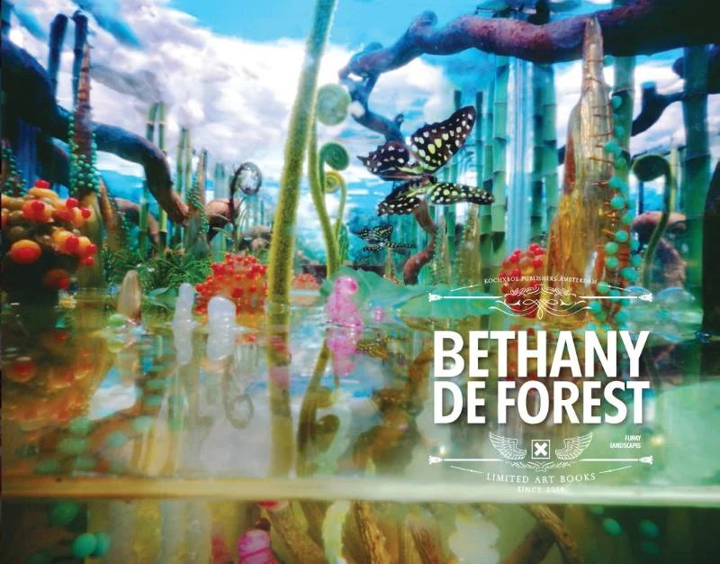 Gecertificeerd Bethany de Forest Funky Landscapes