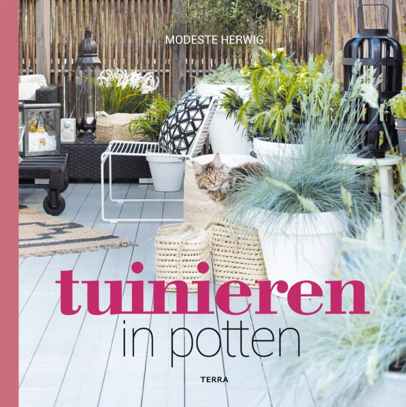 Goedkoop Tuinieren in potten