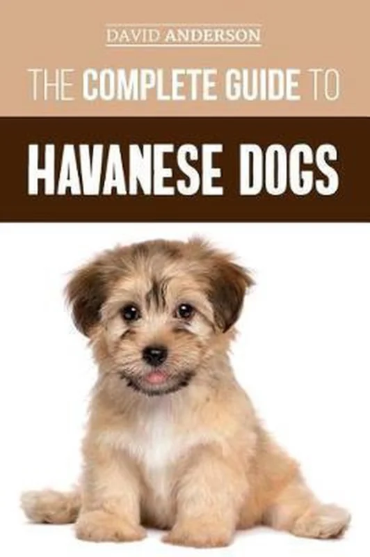 The Complete Guide to Havanese Dogs Alleen Vandaag