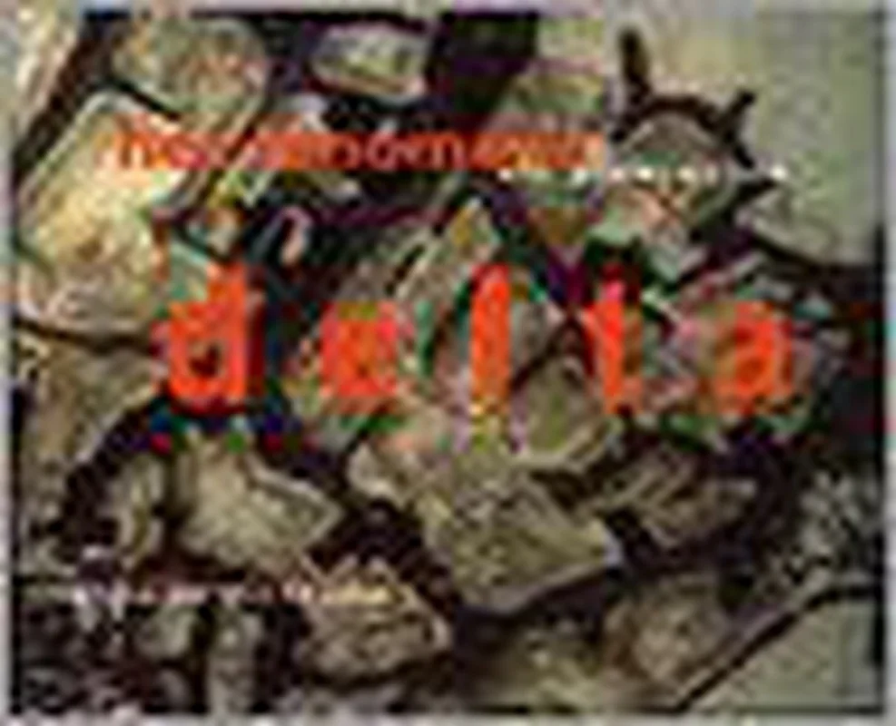 Koop Online Het fenomeen Delta = The phenomenon delta
