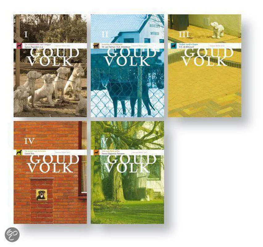 Goud Volk set 5 delen Goedkoop