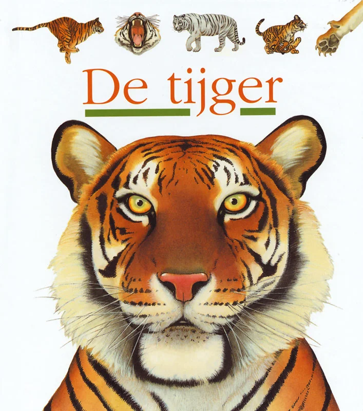 Tijgers / Mijn eerste ontdekkingen Populair
